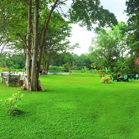 Canal Side Safari Resort Uda Walawe Extérieur photo