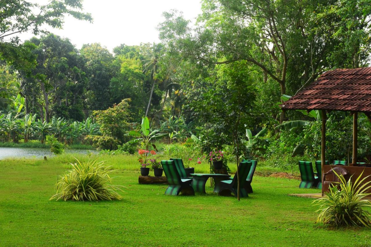 Canal Side Safari Resort Uda Walawe Extérieur photo