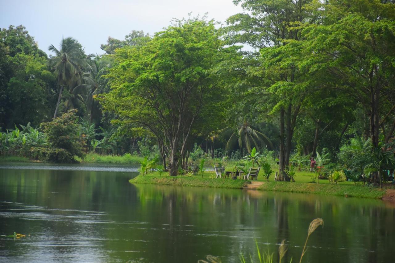 Canal Side Safari Resort Uda Walawe Extérieur photo