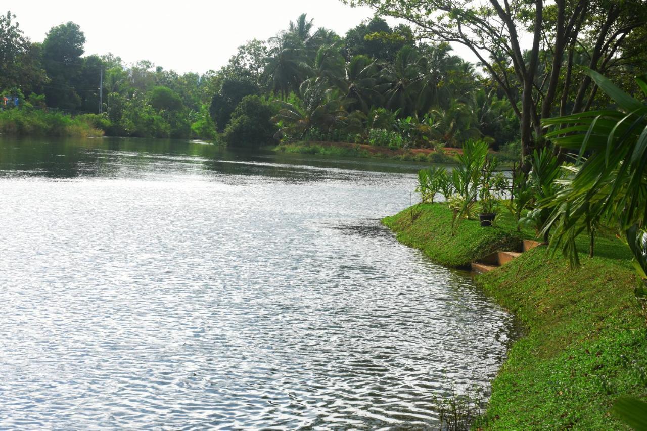 Canal Side Safari Resort Uda Walawe Extérieur photo
