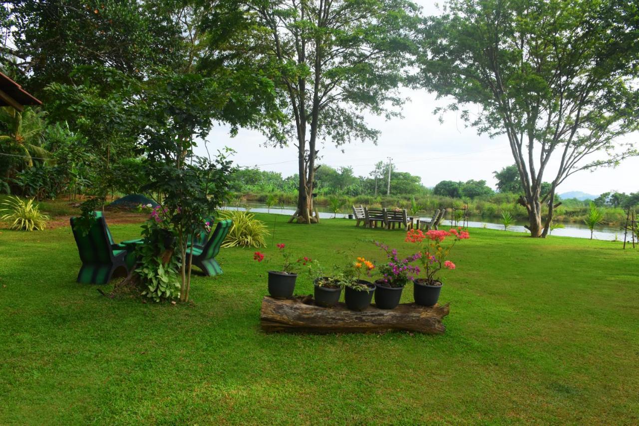Canal Side Safari Resort Uda Walawe Extérieur photo
