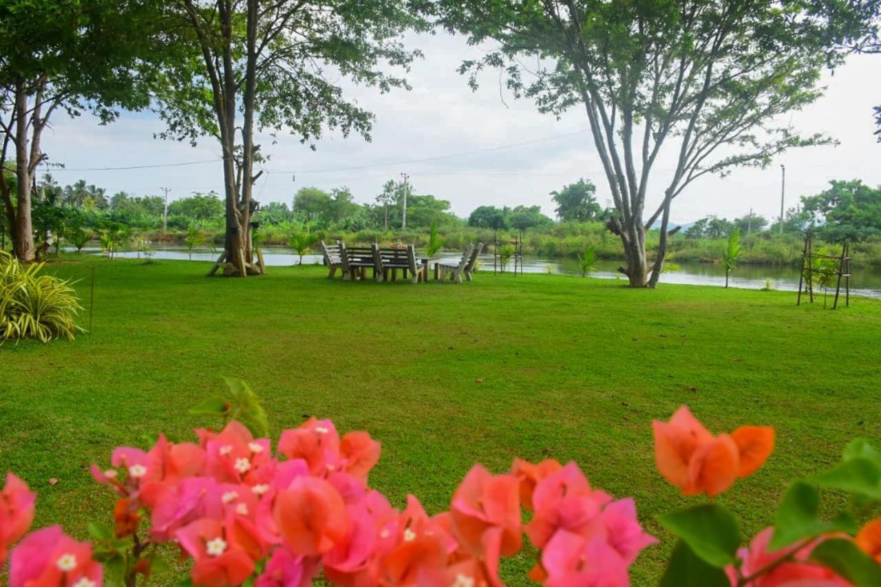 Canal Side Safari Resort Uda Walawe Extérieur photo
