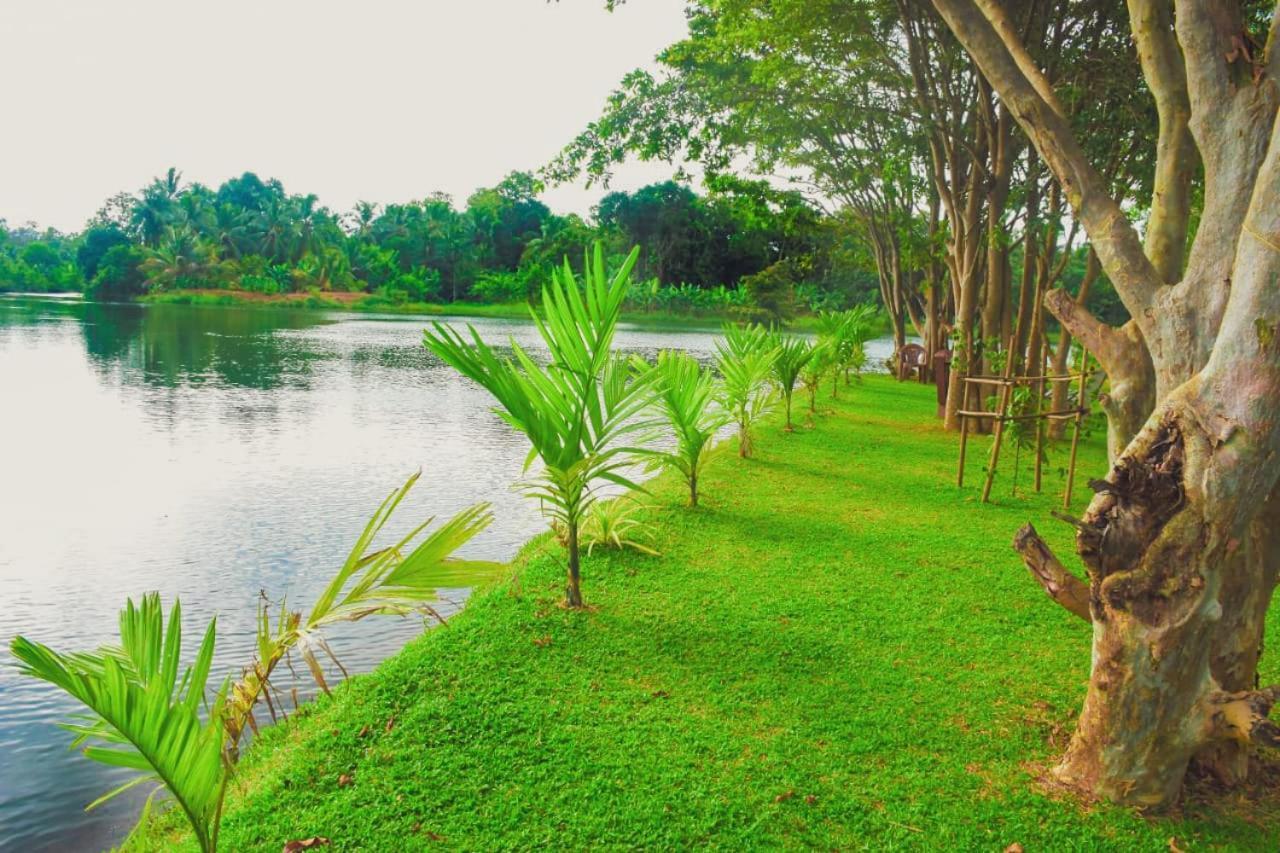 Canal Side Safari Resort Uda Walawe Extérieur photo