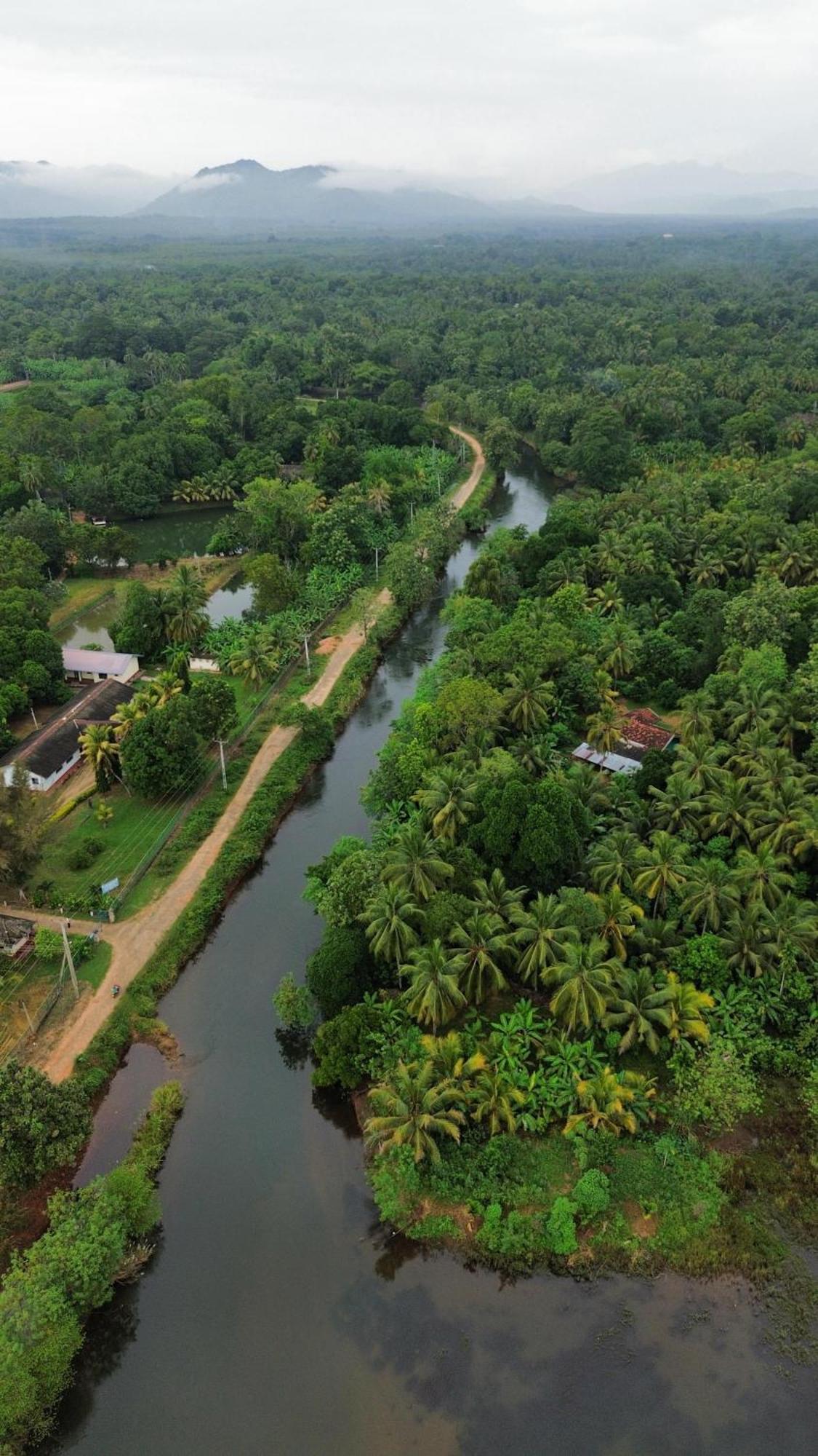 Canal Side Safari Resort Uda Walawe Extérieur photo